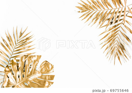 Gold tropical palm leaves Monstera on white background. Flat lay, top view minimal concept. 69755646