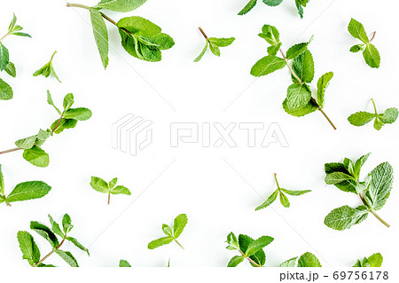 frame made of mint leaves isolated on white background. Set of peppermint. Mint Pattern. Flat lay. Top view. frame made of mint leaves isolated on white background. Set of peppermint. Mint Pattern. Flat lay. Top view. 69756178