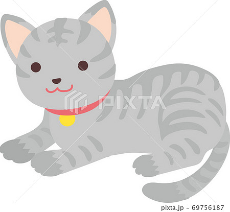 サバ猫 サバ猫 69756187