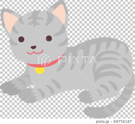 サバ猫 サバ猫 69756187