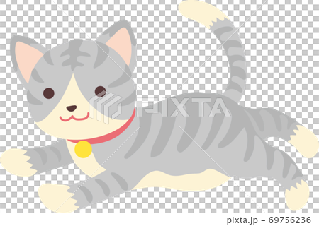 サバ白猫_走っている 69756236