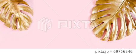 Gold tropical palm leaves Monstera on pink background. Flat lay, top view minimal concept. Gold tropical palm leaves Monstera on pink background. Flat lay, top view minimal concept. 69756246