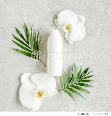 Essential oil, vegetable extract, serum, hyaluronic acid, facial cream, tropic palm leaves on gray marble background. Spa skincare concept. Natural 69756249