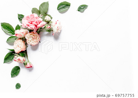 Border frame with pink rose flower buds branches isolated on white background. Flat lay, top view. Floral background. Floral frame. Frame of flowers. 69757755