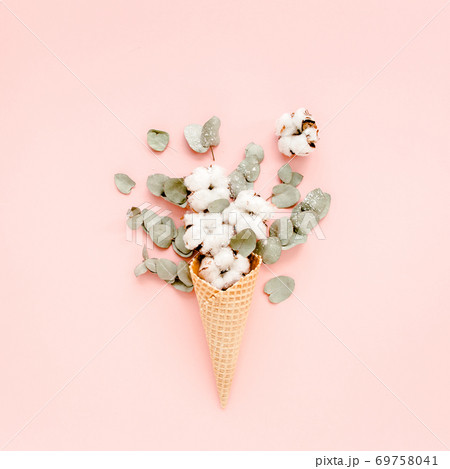Waffle cone with cotton bouquet and eucalyptus leaves on pink background, flat lay, top view Waffle cone with cotton bouquet and eucalyptus leaves on pink background, flat lay, top view 69758041