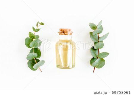 Essential oil and green branches, leaves eucalyptus on white background. Medicinal herbs. Flat lay. Top view. 69758061