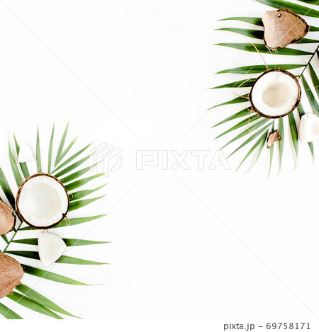 Tropical green palm leaf and cracked coconut on white background. Nature concept. flat lay, top view Tropical green palm leaf and cracked coconut on white background. Nature concept. flat lay, top view 69758171