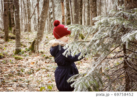 a little girl near a frost-covered spruce branch. a little girl near a frost-covered spruce branch. 69758452