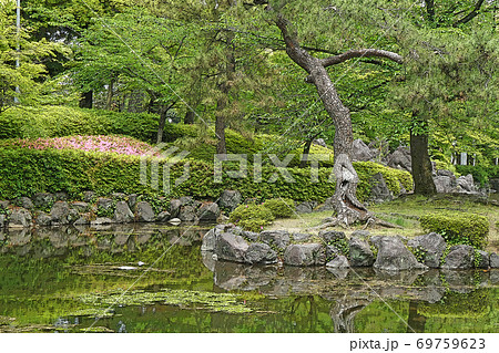 中村公園・点景 69759623