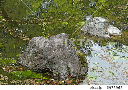 中村公園・点景 69759624