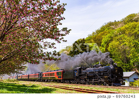 磐越西線の線路沿いに咲く八重桜とC61ばんえつ物語 福島県喜多方市 磐越西線の線路沿いに咲く八重桜とC61ばんえつ物語 福島県喜多方市 69760243