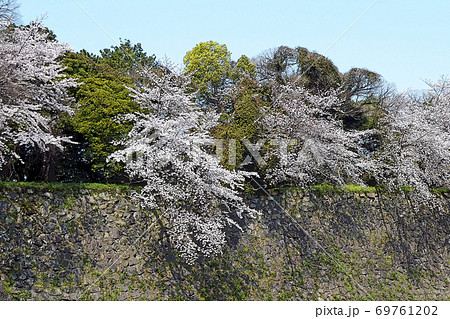 名古屋城点景 69761202