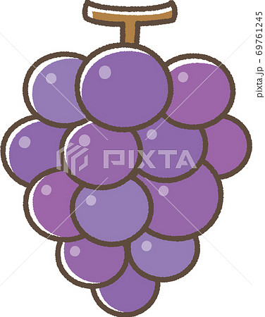 ぶどうのイラスト素材 [69761245] - PIXTA