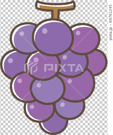 ぶどうのイラスト素材 [69761245] - PIXTA