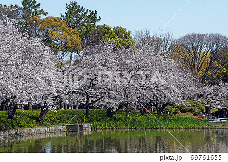 名古屋城点景 名古屋城点景 69761655