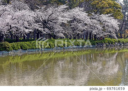 名古屋城点景 名古屋城点景 69761659