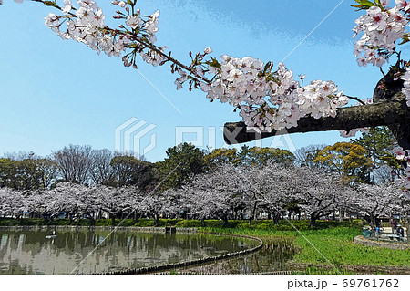 名古屋城点景 名古屋城点景 69761762