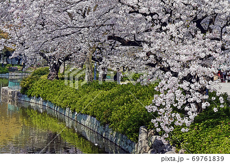 名古屋城点景 69761839