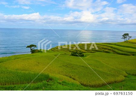 白米千枚田 世界農業遺産 輪島市 白米千枚田 世界農業遺産 輪島市 69763150