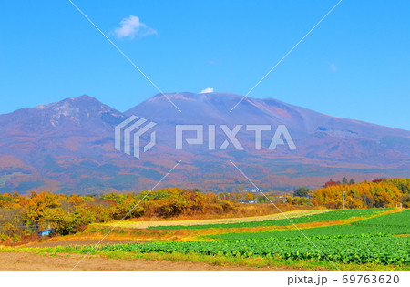 紅葉と浅間山 その2009 : 信州の紅葉 その2009 : 花と植物が織りなす色紙 その2009 紅葉と浅間山 その2009 : 信州の紅葉 その2009 : 花と植物が織りなす色紙 その2009 69763620