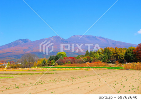 紅葉と浅間山　その2009　：　信州の紅葉　その2009　：　花と植物が織りなす色紙　その2009 69763640