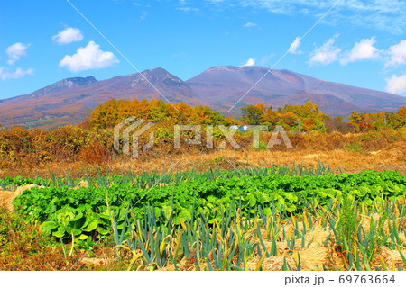 紅葉と浅間山　その2009　：　信州の紅葉　その2009　：　花と植物が織りなす色紙　その2009 69763664