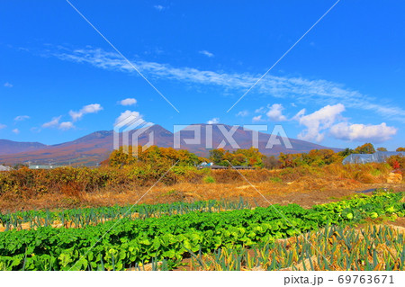 紅葉と浅間山　その2009　：　信州の紅葉　その2009　：　花と植物が織りなす色紙　その2009 69763671