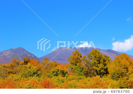 紅葉と浅間山 その2009 : 信州の紅葉 その2009 : 花と植物が織りなす色紙 その2009 紅葉と浅間山 その2009 : 信州の紅葉 その2009 : 花と植物が織りなす色紙 その2009 69763700
