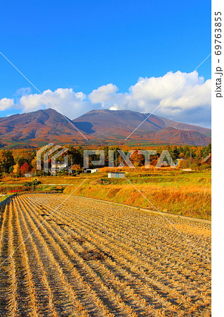 紅葉と浅間山 その2009 : 信州の紅葉 その2009 : 花と植物が織りなす色紙 その2009 紅葉と浅間山 その2009 : 信州の紅葉 その2009 : 花と植物が織りなす色紙 その2009 69763855