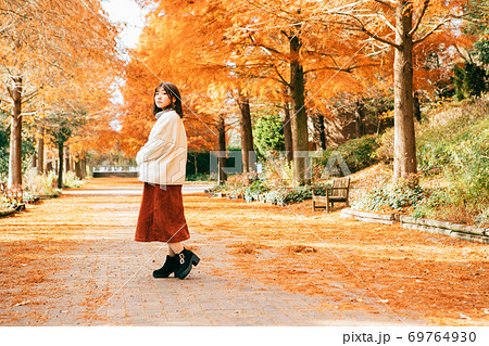 紅葉したラクウショウ並木と女性 紅葉したラクウショウ並木と女性 69764930