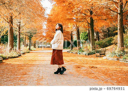 紅葉したラクウショウ並木と女性　 69764931