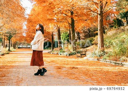 紅葉したラクウショウ並木と女性　 69764932