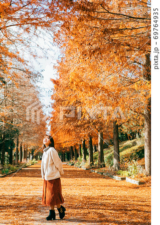 紅葉したラクウショウ並木と女性　 69764935