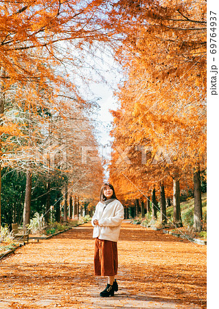 紅葉したラクウショウ並木と女性 紅葉したラクウショウ並木と女性 69764937