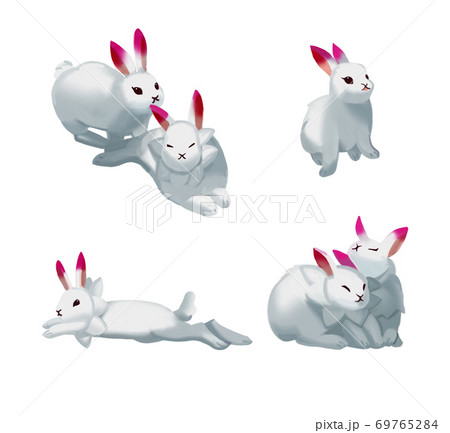 バニー うさぎ 子うさぎ 69765284