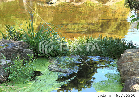忍城堀の水城公園と洋館 旧忍町信用組合店舗 忍城堀の水城公園と洋館 旧忍町信用組合店舗 69765550