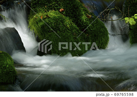 尚仁沢湧水群の湧水源からの流れ 尚仁沢湧水群の湧水源からの流れ 69765598