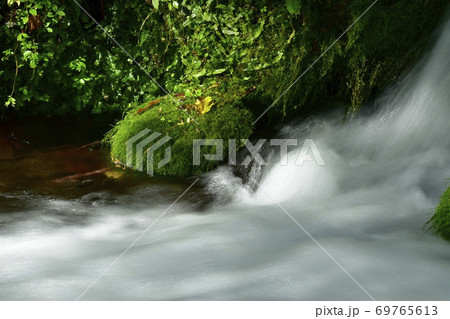 尚仁沢湧水群の湧水源からの流れ 69765613
