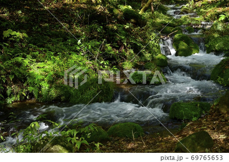 尚仁沢湧水群の湧水源からの流れ 69765653