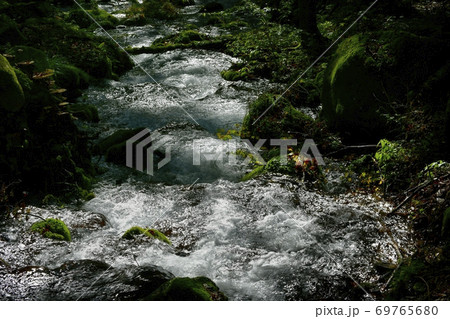尚仁沢湧水群の湧水源からの逆光に光る流れ 69765680