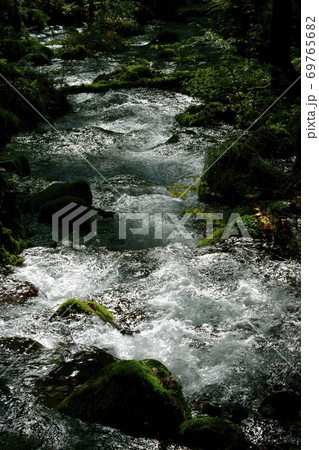 尚仁沢湧水群の湧水源からの逆光に光る流れ 69765682