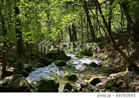 尚仁沢湧水群の湧水源からの流れ 69765693