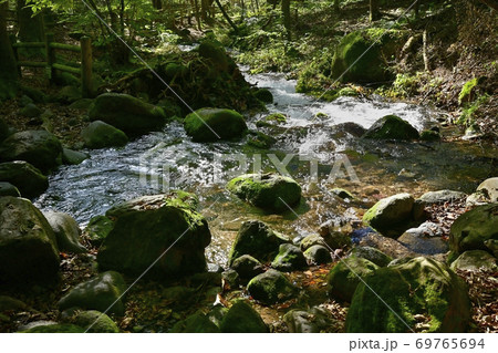 尚仁沢湧水群の湧水源からの流れ 69765694
