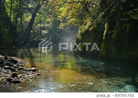 朝靄立つ尚仁沢川の砂防堰堤上部の紅葉映る 69765702