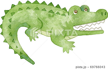 Crocodile With An Open Mouth One Stock Illustration