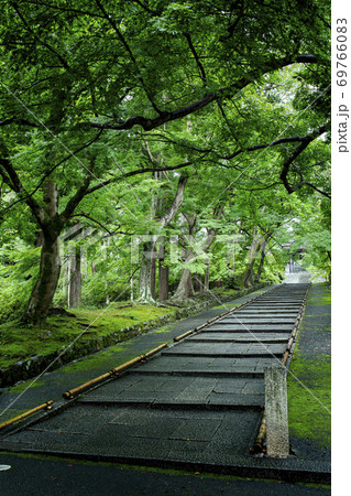 深緑の毘沙門堂 69766083