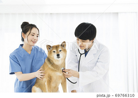 獣医　診療　聴診器 69766310