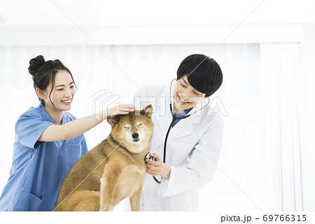 獣医　診療　聴診器 69766315