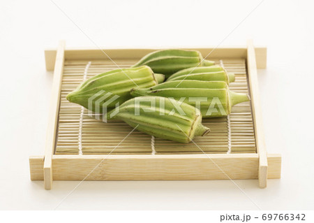 オクラ(ダビデの星) オクラ(ダビデの星) 69766342