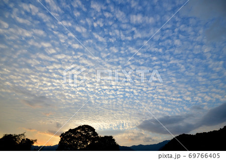 ウロコ雲が広がる秋の夕空 ウロコ雲が広がる秋の夕空 69766405
